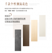 德华兔宝宝发卖公司家具厂渠道运营核心副总监