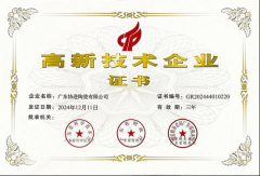 融合全球美学趋