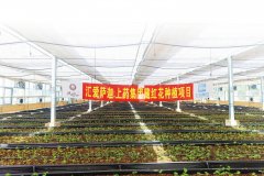 拉孜县委常务副、常务副县长宫爱如正在接管《